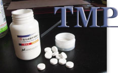 TMP产业形成高度集中之势