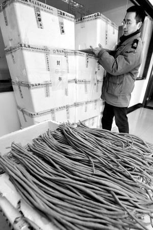 合肥严查含禁用农药豇豆