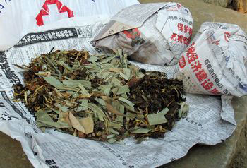 中年妇女服中药后身亡 老中医为证清白服药丧命