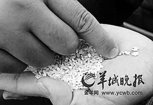 河粉质检合格率7%：霉大米加工 含致癌物质