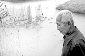 借高利贷养鸭人期待卖蛋来还债