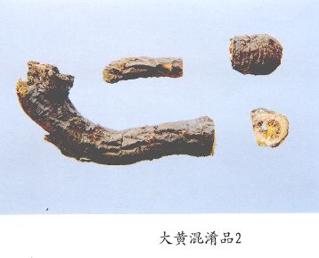 大黄混淆品（2）--天山大黄（Tianshandaihuang）