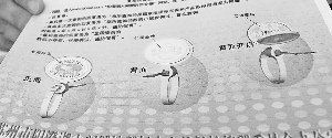 阳澄湖大闸蟹防伪商标公布 目前所售均属