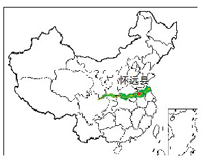 怀远：卫生院如何摆脱两难境地
