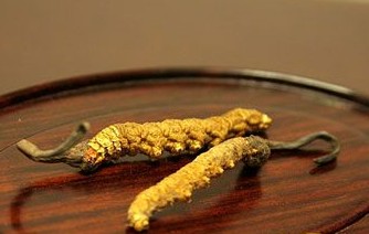 冬季补肾好时节 如何吃补肾药？