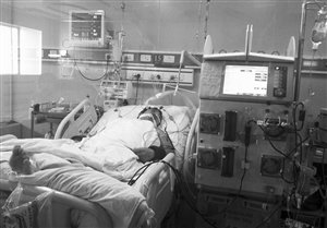 专家：北方出现H7N9感染者或因候鸟夏季北飞