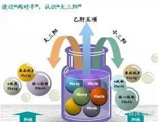 如何看乙型肝炎五项检查化验单