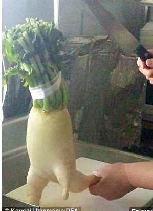 养生趣图：奔跑的萝卜