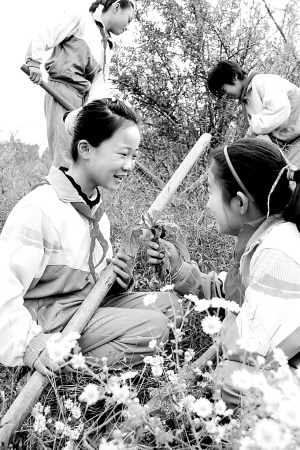 学认中草药