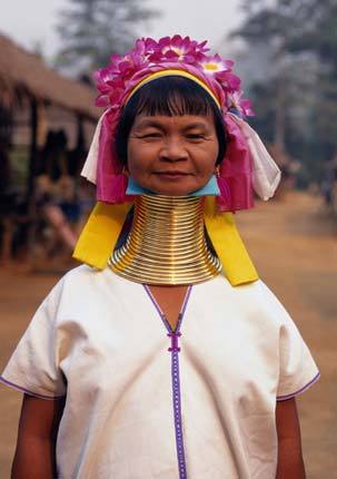 世界上最长的颈