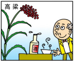 五谷杂粮养五脏