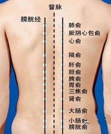 健康专家史亚丽做客前沿对话：特色养生，健康一生