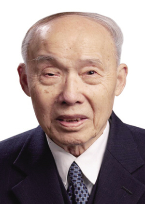 丁泽民主要成就