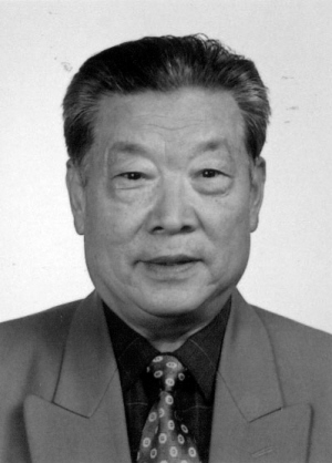 调搏增率汤