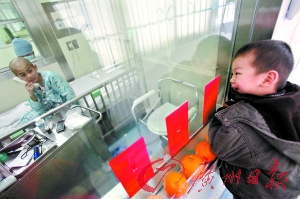 12岁男孩患急性白血病 3岁弟弟捐骨髓相救