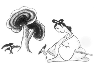 调节免疫吃灵芝