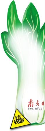 果蔬携农残市场不设防 提示：哪些蔬菜农残最多？