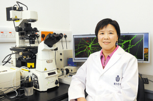 香港科技大学理学院院长：竭力揭开大脑神秘面纱