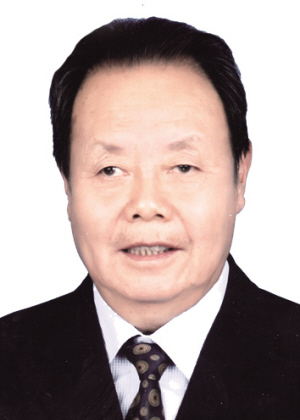 王自立主要成就