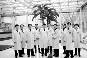 鼎盛图强创佳绩 追求卓越铸辉煌——鸡西矿业集团总医院发展纪实