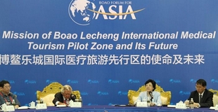 国家卫计委主任李斌：探索将三亚打造成中医疗养国际旅游示范区