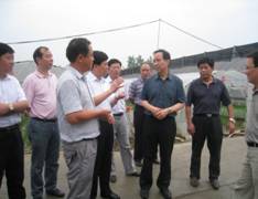 王宇主任赴血防联系点调研