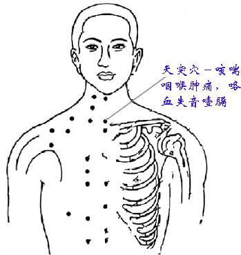 躯干正面 天突穴