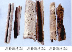 厚朴混淆品（1）--土厚朴（Tuhoupo）