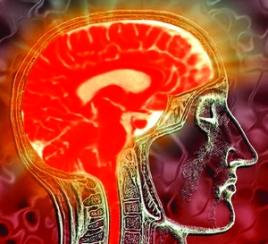 十个绝招 帮助锻炼你的大脑