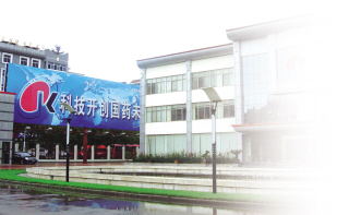 再给这个行业10年