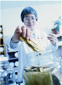 冬虫夏草能对抗肝纤维化