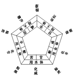 敦煌遗书中小补泻汤数术思想研究