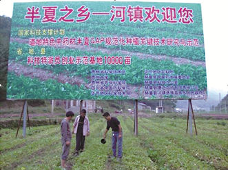 GAP联盟互补资源短板