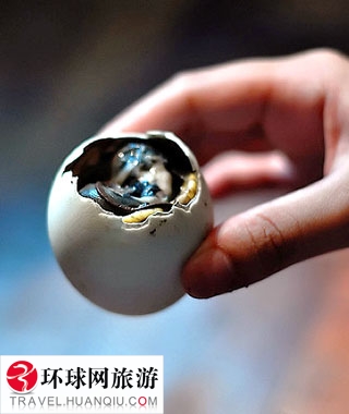全球最变态食物TOP10