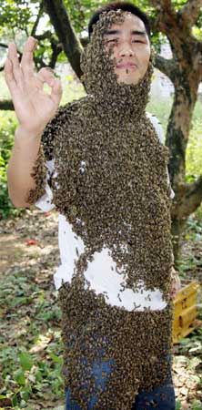 养蜂人让12万只蜜蜂爬满全身