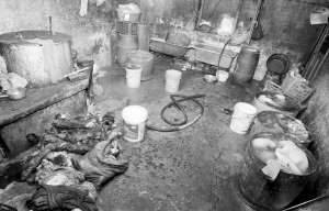 揭秘黑窝点提炼牛油加工牛杂 牛头毛发下锅