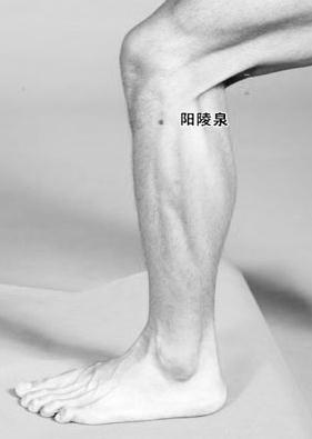 中医专家推荐十大养生要穴 可强身健体
