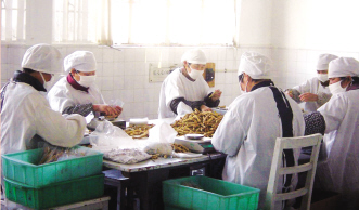 出美药材跌至冰点