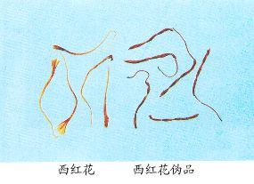 西红花（Xihonghua）Stigma Crocl