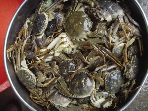 商贩回收死蟹做成蟹黄出售 专家称食死蟹可丧命
