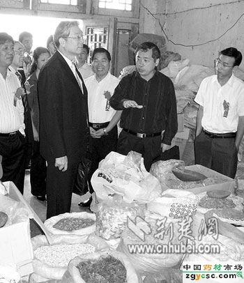 湖北第十七届中药材交易会在蕲春举行