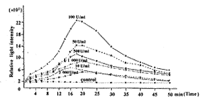 肿瘤坏死因子β诱导淋巴细胞化学发光及其增殖的研究
