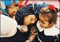 被忽视的热带病