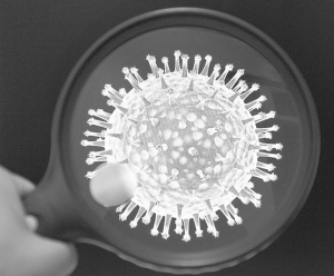 H7N9 我们所知仍然有限