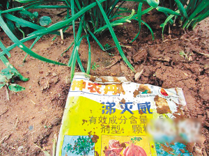 菜农用高毒农药提高产量 儿子不敢吃父亲种的菜