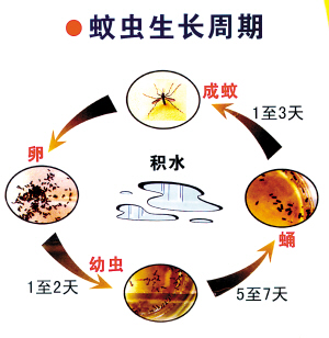 广州爱卫办官员：一个登革热患者就是一个疫点