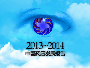 2013年网上药店十强亮相