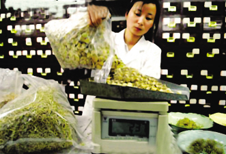 防治手足口病中医药大有可为
