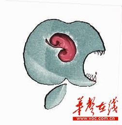 高中生卖肾买“苹果” 肾卖20多万他只得2万
