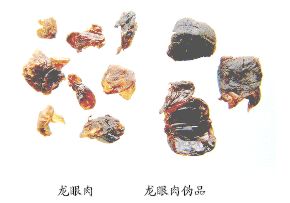 龙眼肉伪品--荔枝肉（Lizhirou）